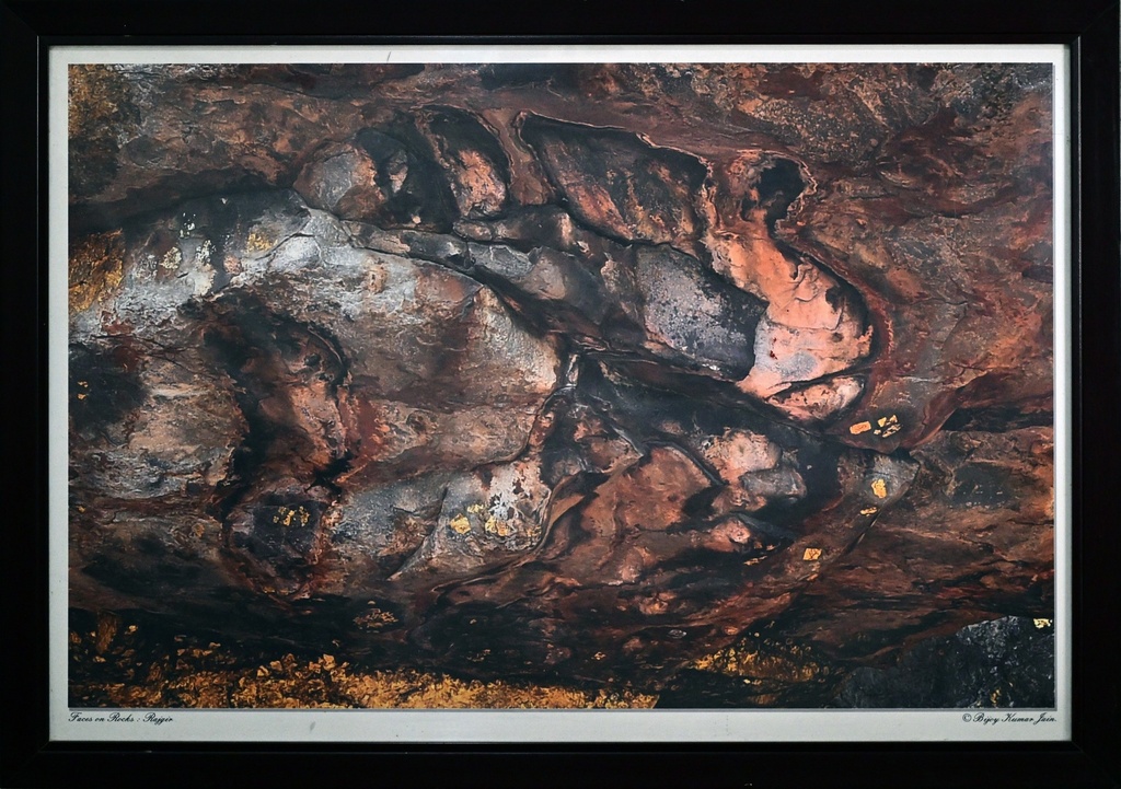 Bijoy Kumar Chauhan - Artwork 693